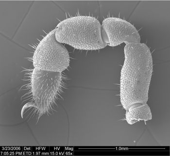 Media type: image;   Invertebrate Zoology 134693